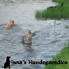 Hundedemo am 1. Mai